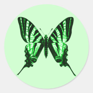 Sticker papillon vert