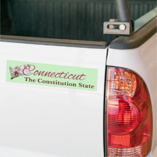 Sticker pare-chocs - CONNECTICUT