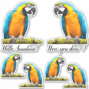 Sticker Parrot Coloré Sur Branche Lichen Personnalisé
