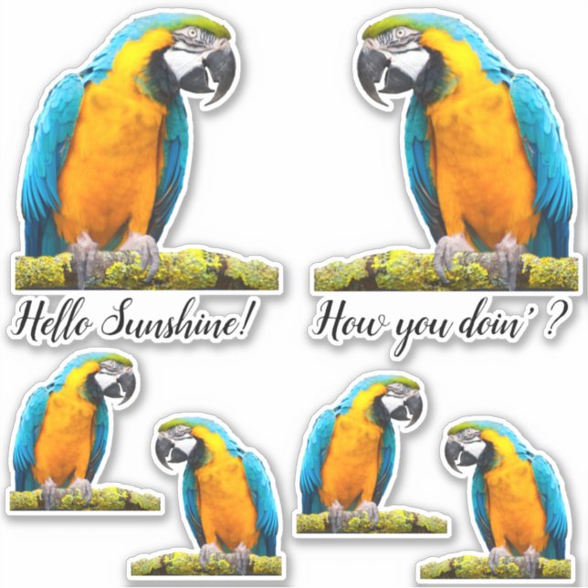 Sticker Parrot Coloré Sur Branche Lichen Personnalisé (Devant)
