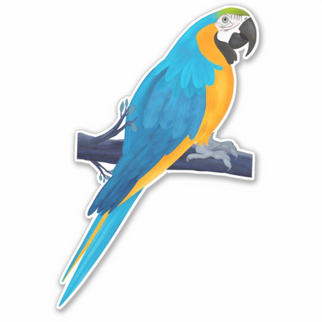 Sticker Parrot Macaw en bleu et or (Devant)