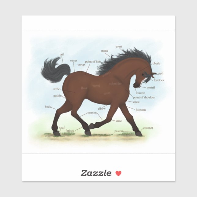 Sticker Parties de l'anatomie du cheval sur le ponton de l (Feuille)