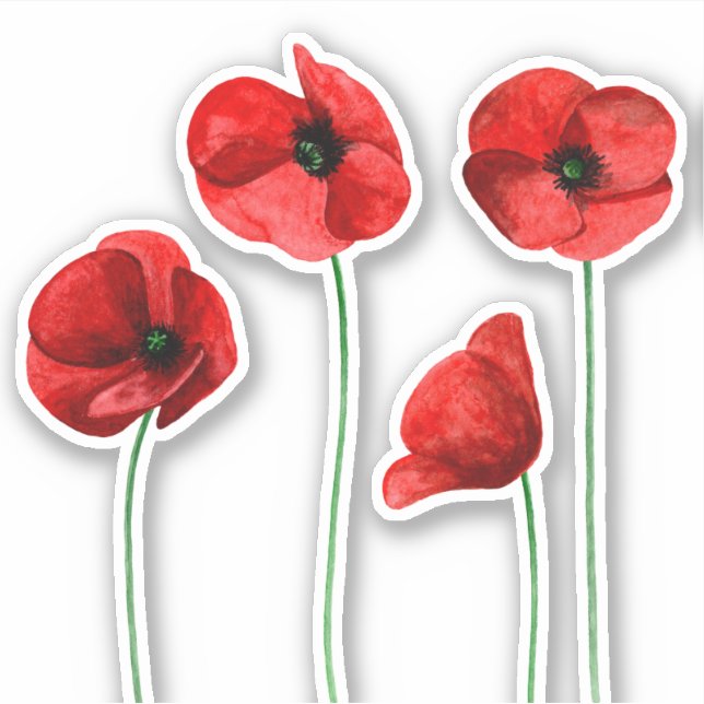 Sticker Pavot aquarelle. Fleurs rouges. Floral d'été (Devant)