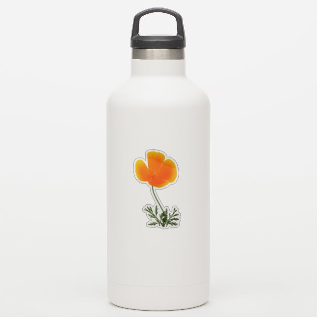 Sticker pavot californien orange (Gourde)