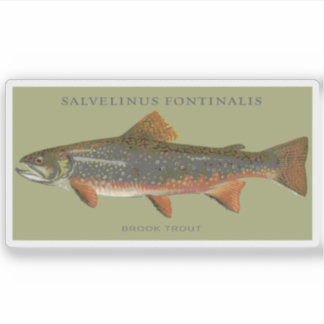 Sticker Pêche à la truite broyée