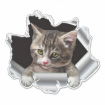 Peeking Cat Vinyl Decal |Décal de voiture, autocol