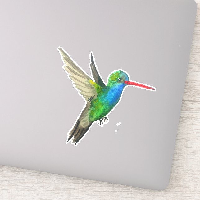 Sticker Peinture à l'aquarelle de colibri à bec large (Détail)