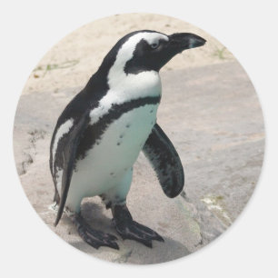 Sticker Penquin
