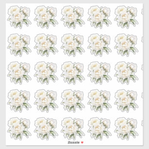 Sticker Peonies blanches