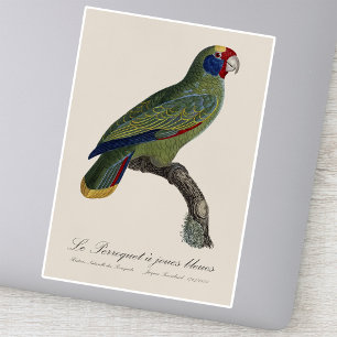 Sticker Perroquet à queue rouge, Amazona Brasiliensis