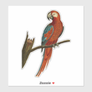 Sticker Perroquet sur une branche
