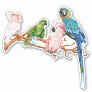 Sticker Perroquets d'aquarelle Macaw Cockatoo Parakeet