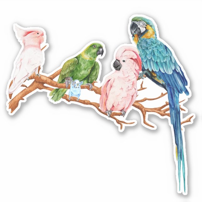 Sticker Perroquets d'aquarelle Macaw Cockatoo Parakeet (Devant)
