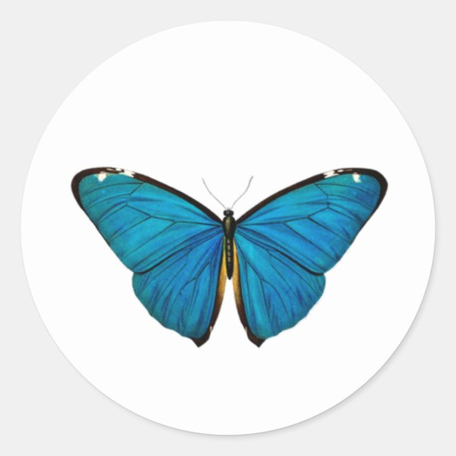 STICKER PERSONNALISÉ BLEUE BOUTEILLE RONDE (Devant)