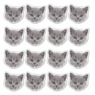 Sticker Personnalisé Cute Chat Face 16 Photos Vinyl