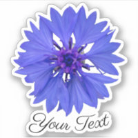 Pétales de fleurs de maïs et timbres violets au pr