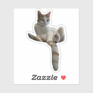 Sticker Peut-être devriez-vous couvrir cela ? Chat