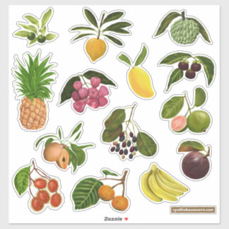 Sticker Philippine / Fruits tropicaux