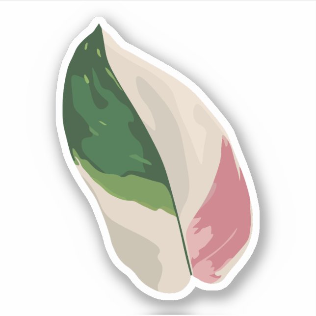 Sticker Philodendron Pink Princess (Devant)
