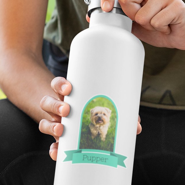 Sticker Photo Arch Pour Animaux (Créateur téléchargé)