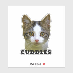 Sticker Photo de chat amusant et nom vinyle étanche pour a