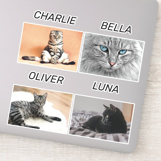 Sticker Photo de chat personnalisée et nom de chat animal  (Détail)