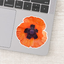 Photo de Coquelicot Rouge