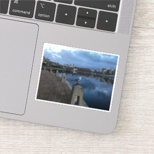Sticker Photo de mouette
