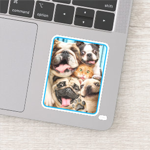 Sticker Photo d'un groupe de chiens et de chats