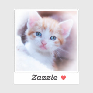 Sticker Photo en forme de Carré New Kitten