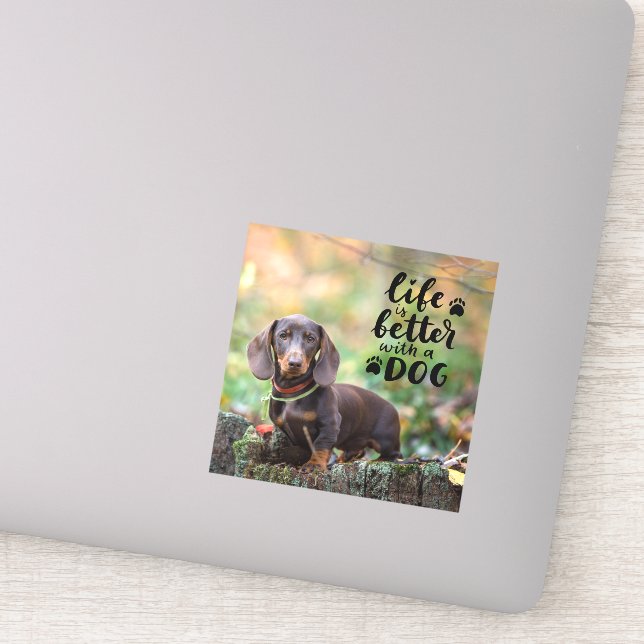Sticker Photo pour animal de compagnie personnalisée La vi (Détail)