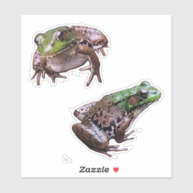 Sticker Photos de grenouilles vertes (Feuille)