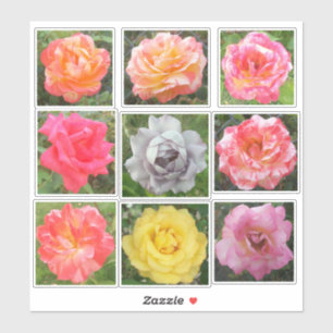 Sticker Photos Roses solides et variées