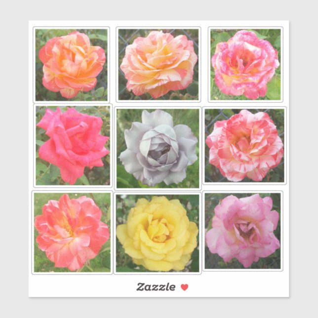 Sticker Photos Roses solides et variées (Feuille)