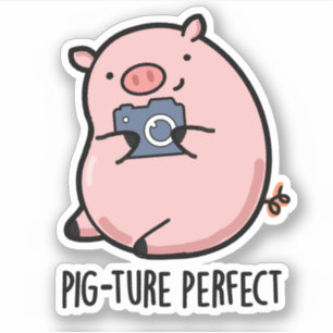 Sticker Pig-ture Perfect Funny Photography Pig Pun