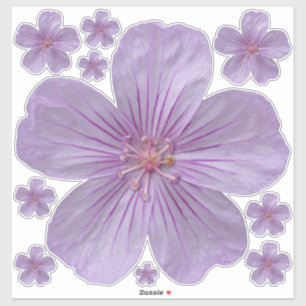 Sticker Pineywoods Geranium #1