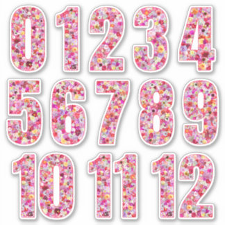 Sticker Pink Floral Numbers Twelve Months 