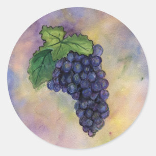 Sticker Pinot Noir Vins