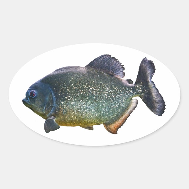 Sticker Piranha (Devant)