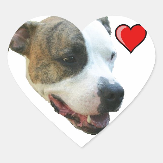 Sticker PItbull (Devant)