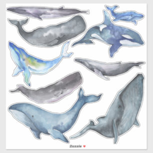 Sticker PixDezines Aquarelle Baleines