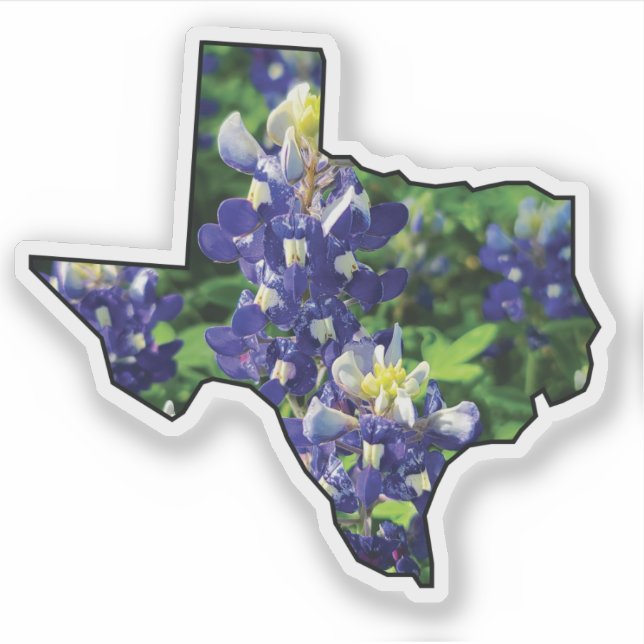 Sticker Plan d'état du Texas avec Bluebonnets (Devant)