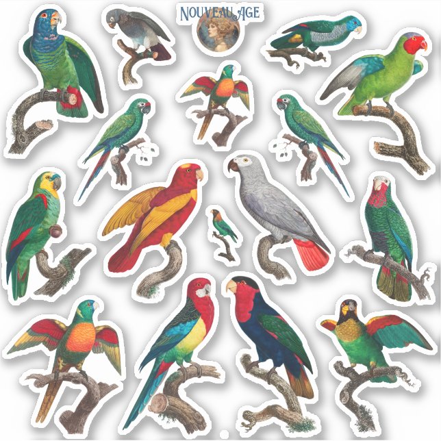 Sticker Pléthore de perroquets Feuille d'autocollants aux  (Devant)