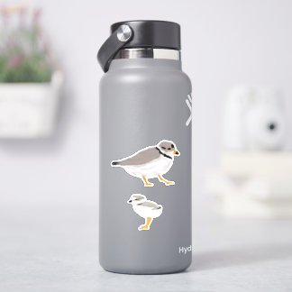 Sticker Pluvier de tuyauterie avec son Chick