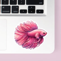 Poisson rose Betta