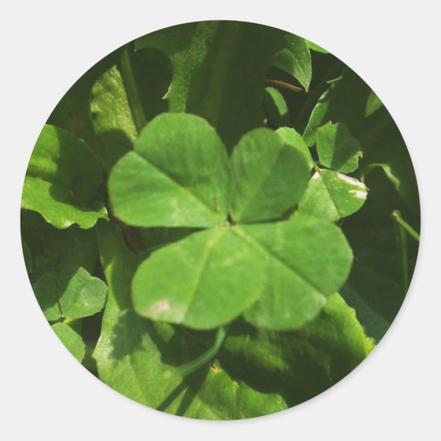 Sticker Porte-bonheur (Front)