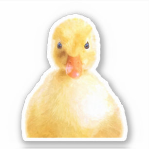 Sticker Portrait de canard mignon