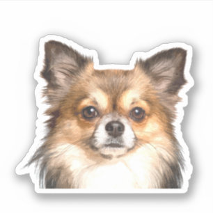 Sticker Portrait de Chihuahua