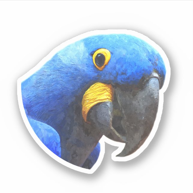 Sticker Portrait de perroquet bleu (Devant)