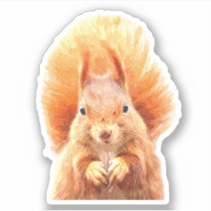 Sticker Portrait d'écureuil